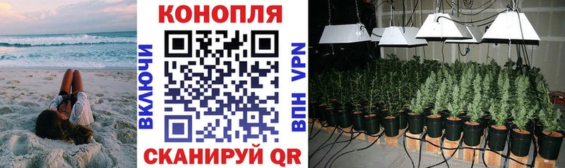 купить наркотики цена  Острогожск  Бошки Шишки Bruce Banner 